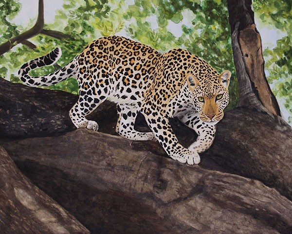 leopardinprogress600.jpg